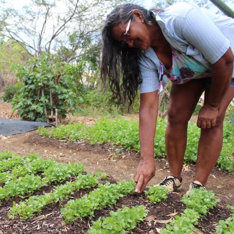 A woman farmer in Brazil