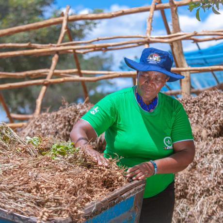 ActionAid is training smallholder farmers on agroecology farming techniques to increase crop yield and adapt to the impact of the changing climate.